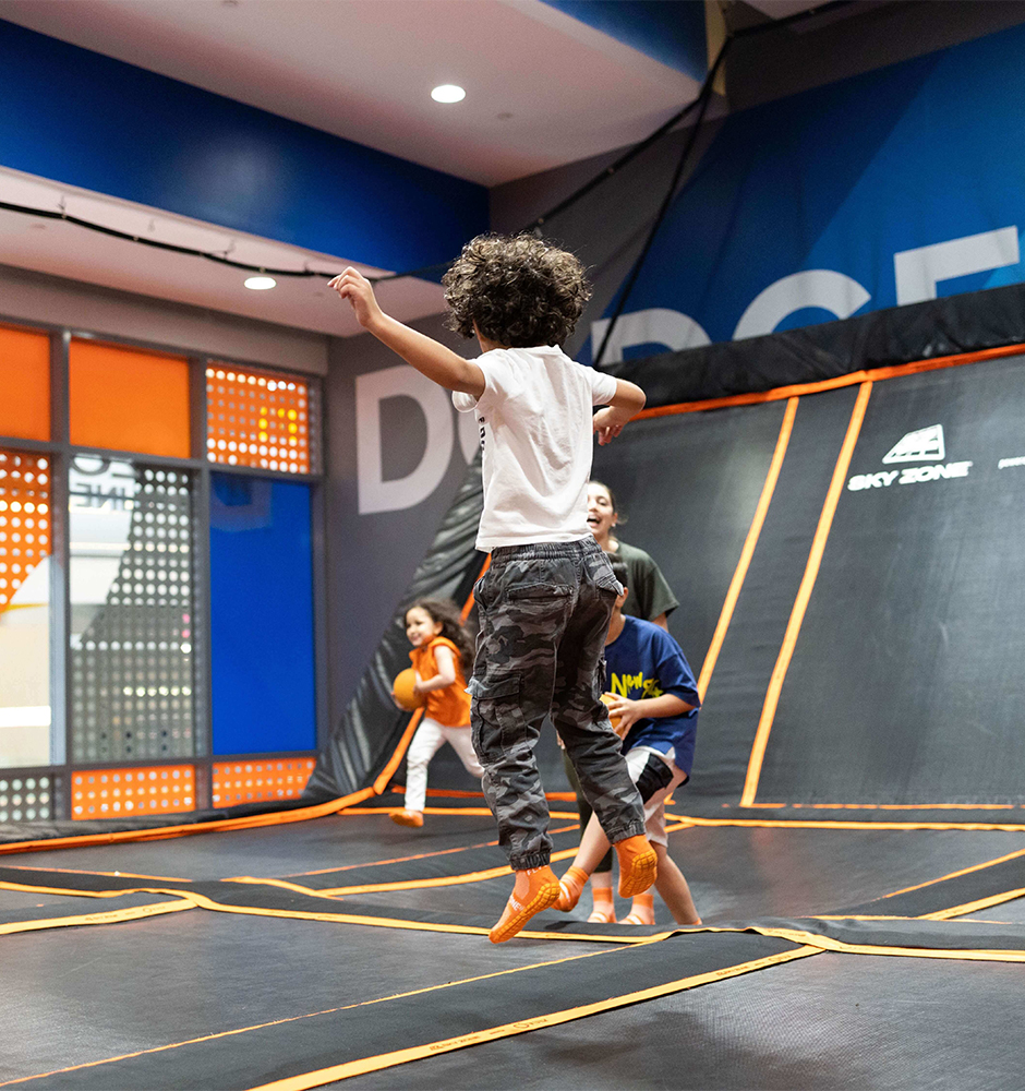 Sky Zone